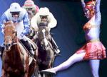 Cheltenham Races or Cirque du Soleii - you choose