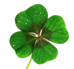 Share the luck of the Irish at Dublinbet Casino